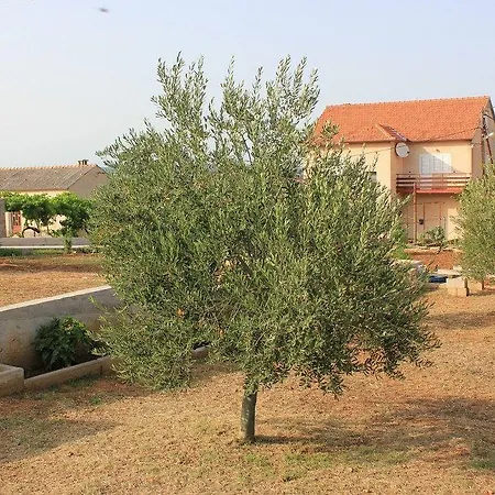 Apartment Kraj 331b *